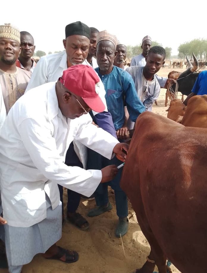 Animals Vaccination ,Babura LG targets to vaccinate 1m sheep and goats against PPR, 250,000 ,cattle against CBPP, and 1500 dogs against rabies.    By Umar Akilu Majeri Dutse