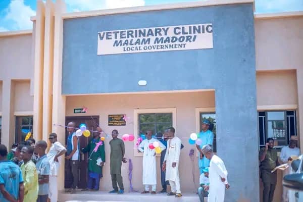 Malam Madori Local Government Commissions Modern Veterinary Clinic  By Umar Akilu Majeri, Dutse
