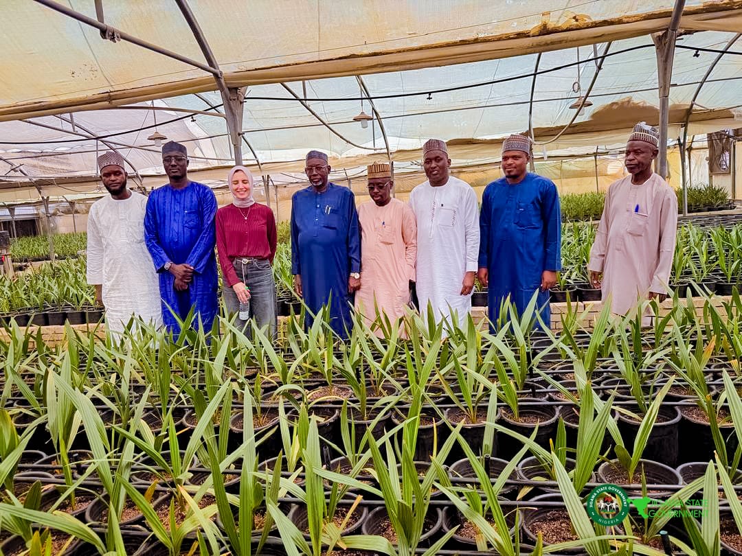 Jigawa Partners Egyptian Firm on Date Palm, Potato Tissue Culture Technology  By Umar Akilu Majeri