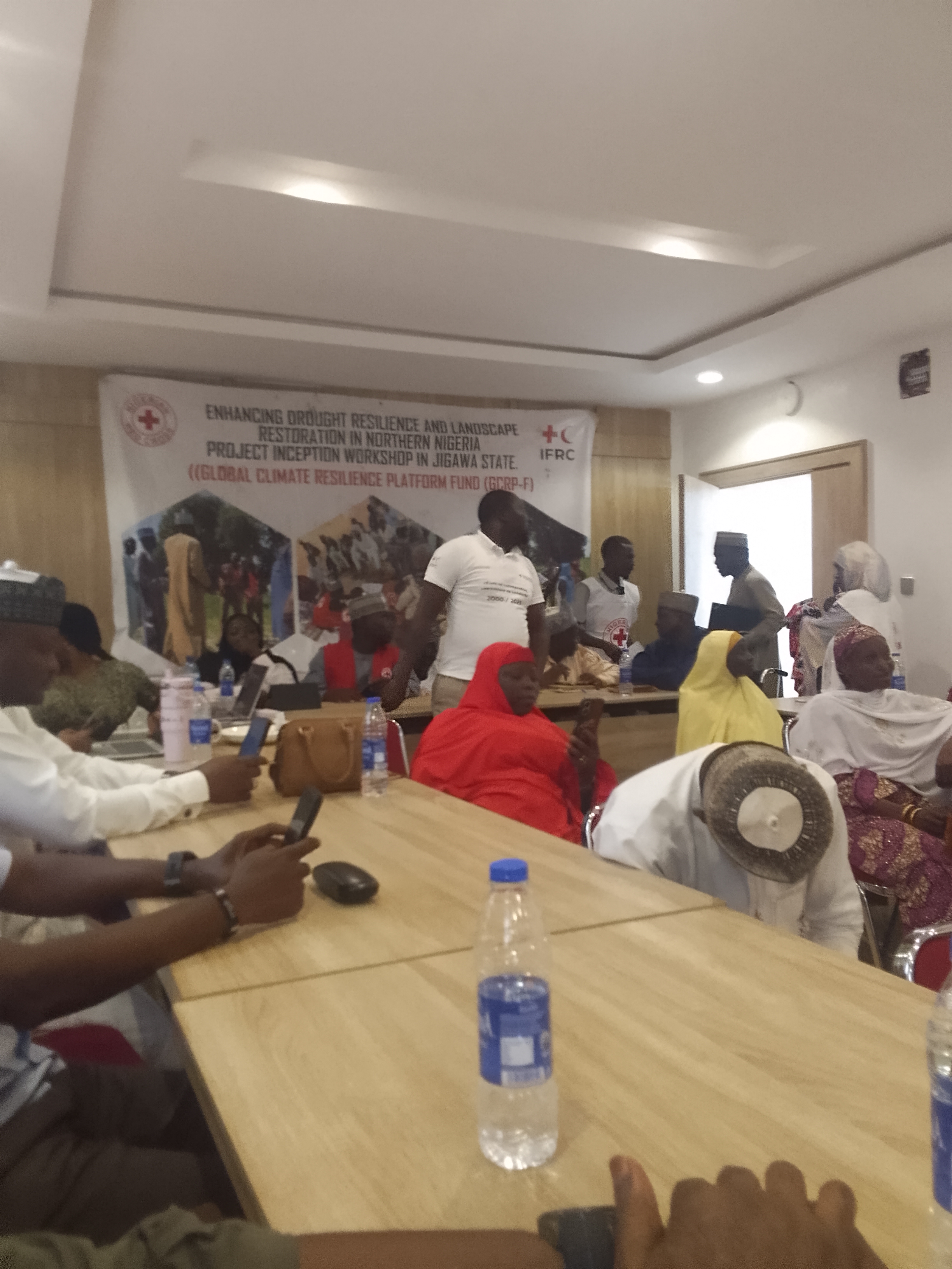 Rats Destroy 100 Tree Seedlings in Kaugama  By Umar Akilu Majeri, Dutse